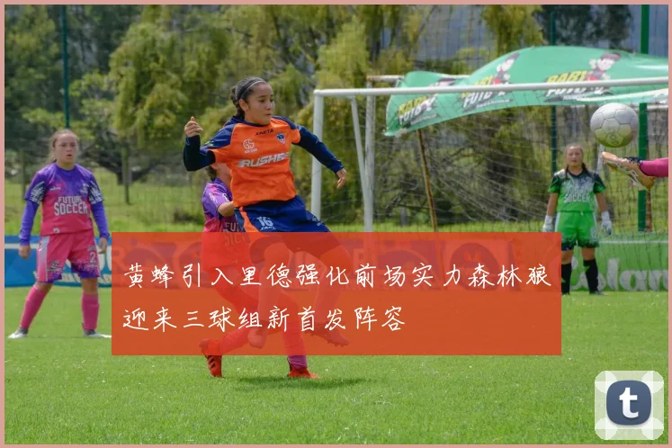黄蜂引入里德强化前场实力森林狼迎来三球组新首发阵容